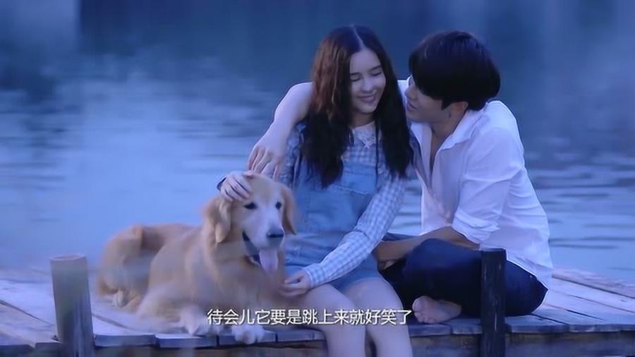 数码宝贝究极对决